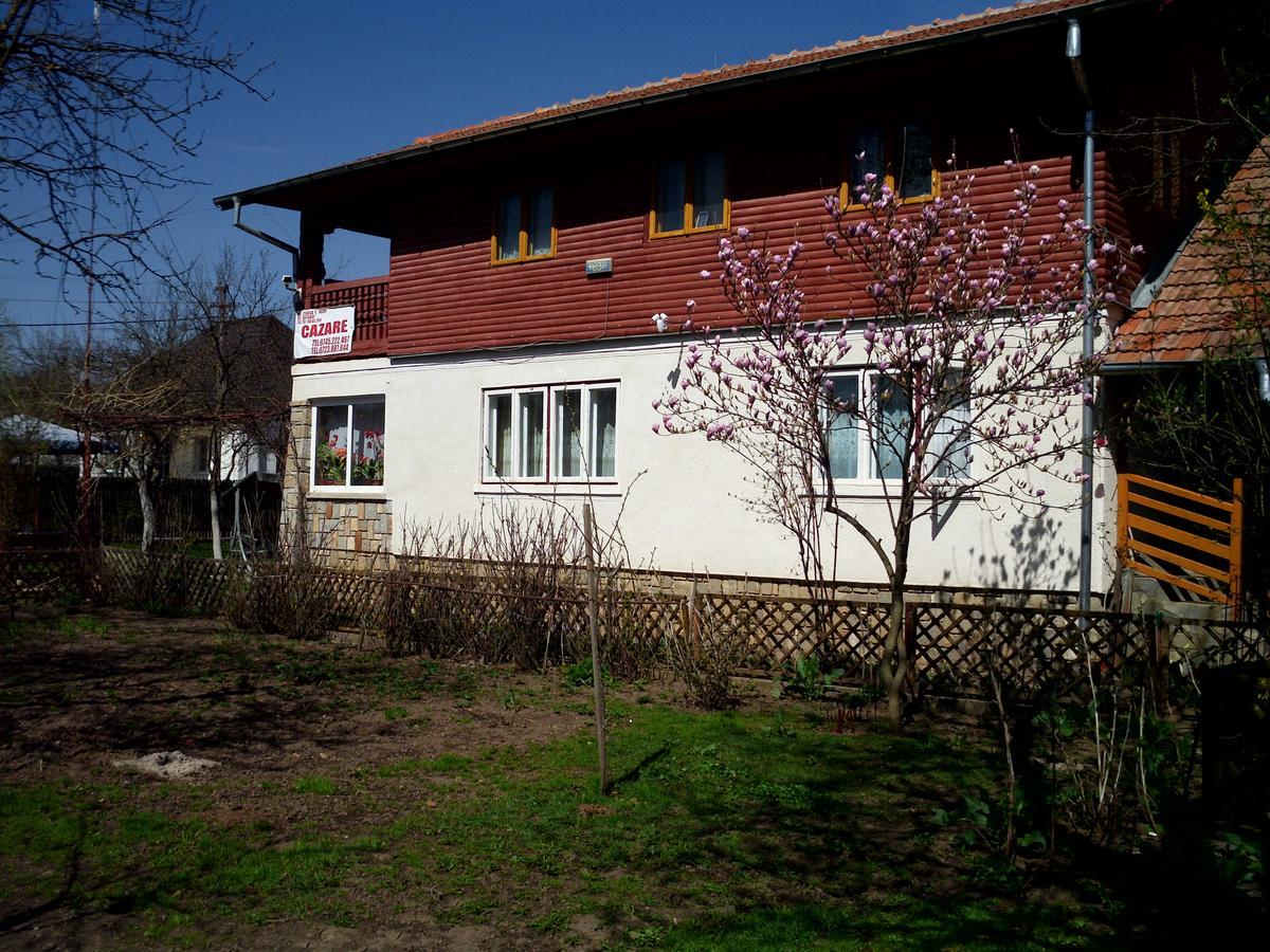 Vila Mihaela Бряза Экстерьер фото